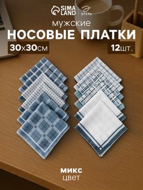 Платки носовые мужские «Этель. Серджио», 30×30 см, 12 шт., хлопок 100%, рисунок МИКС, серые