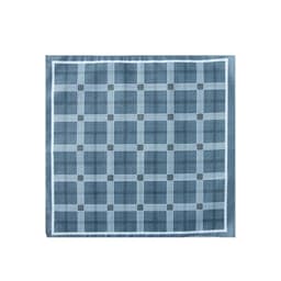 Платки носовые мужские «Этель. Серджио», 30×30 см, 12 шт., хлопок 100%, рисунок МИКС, серые