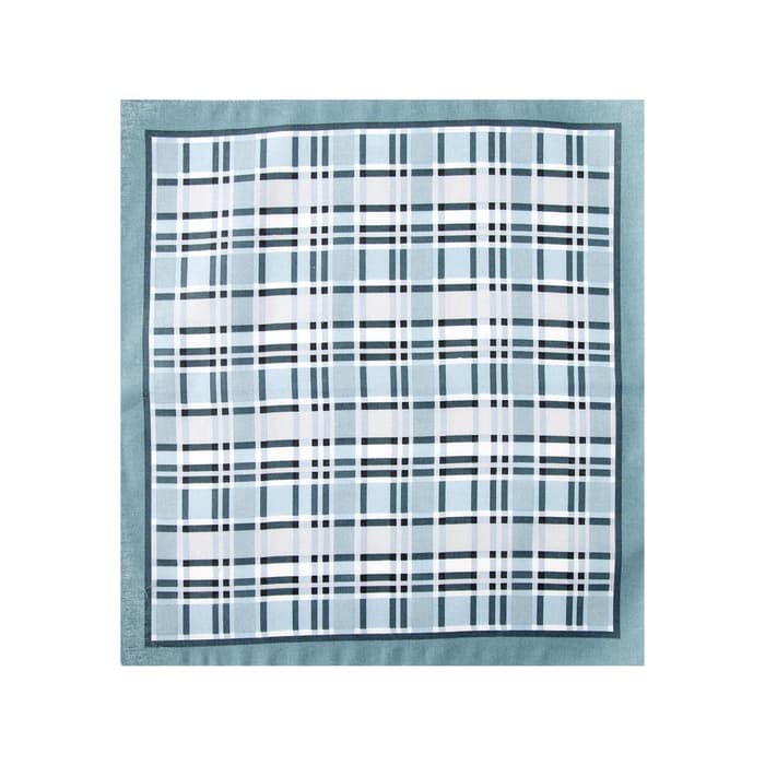 Платки носовые мужские «Этель. Серджио», 30×30 см, 12 шт., хлопок 100%, рисунок МИКС, серые