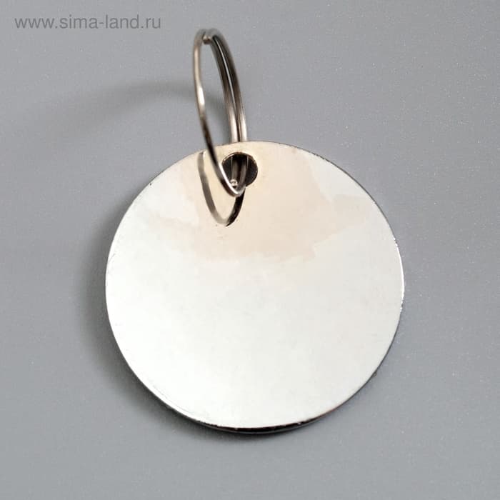 Адресник под гравировку «Лапа», 2.5 см, фасовка по 6 шт., металл, цвет МИКС