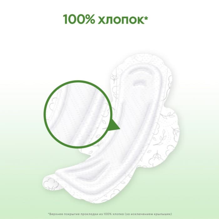 Прокладки «Kotex» Natural ночные, 6 шт.