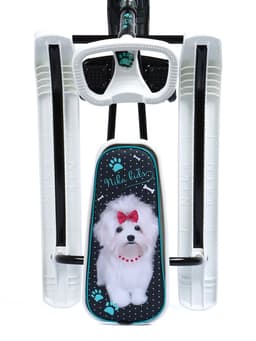 Снегокат «Тимка Спорт 2+» Болонка, ТС2+/БЛ Nika Kids