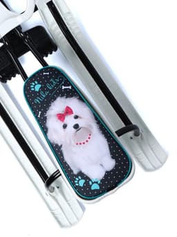 Снегокат «Тимка Спорт 2+» Болонка, ТС2+/БЛ Nika Kids