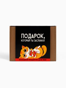 Подарочный набор «Подарок, который ты заслужил»