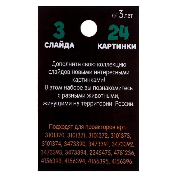 Слайды для проектора ZABIAKA «Животные России», набор, 3 слайда, 24 картинки