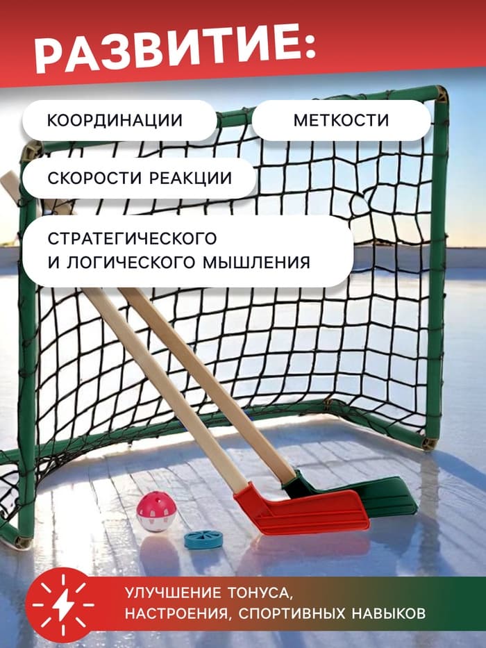 Набор для игры в хоккей (клюшка 2 шт., ворота 2 шт., шайба, мяч), цвет МИКС