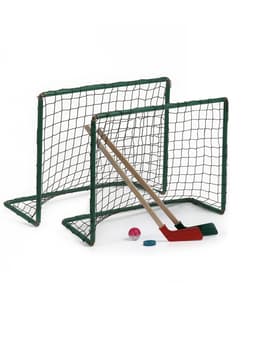 Набор для игры в хоккей (клюшка 2 шт., ворота 2 шт., шайба, мяч), цвет МИКС