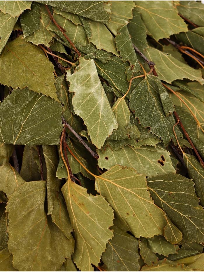 Веник для бани, берёзовый, 50 см, упаковка МИКС