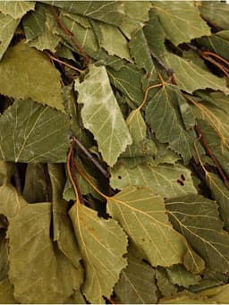 Веник для бани, берёзовый, 50 см, упаковка МИКС