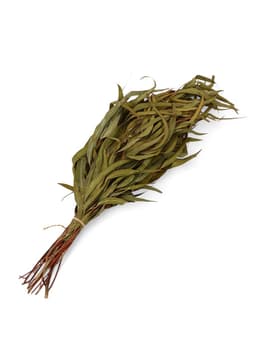 Веник для бани, эвкалиптовый, в еврослоте, «Добропаровъ»