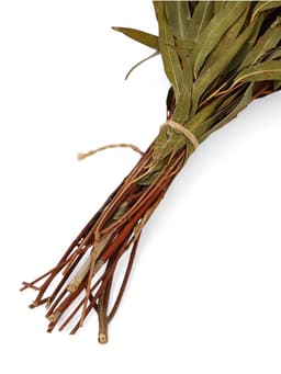 Веник для бани, эвкалиптовый, в еврослоте, «Добропаровъ»