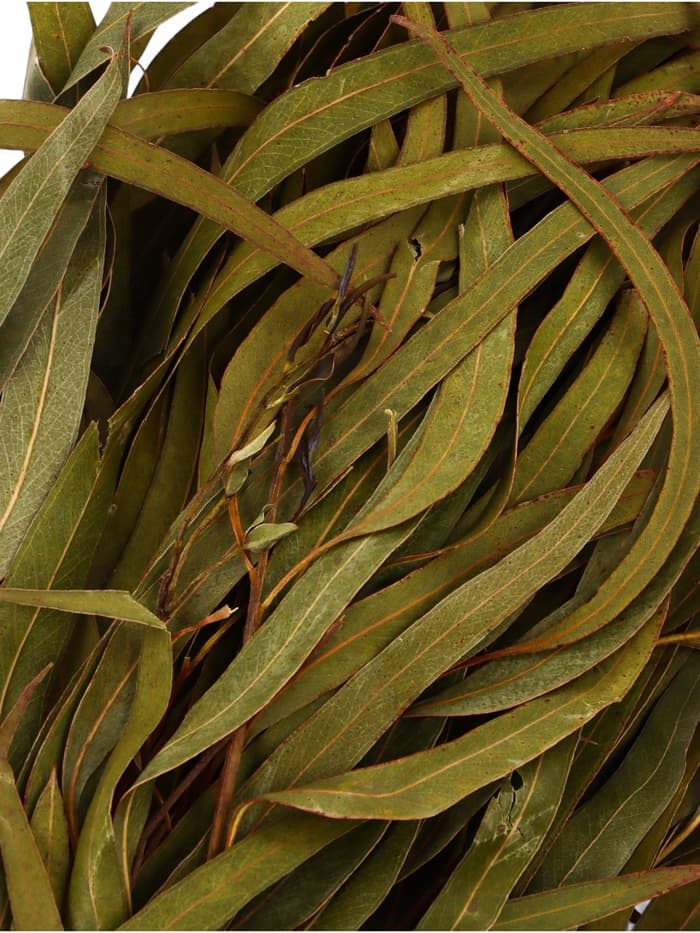 Веник для бани, эвкалиптовый, в еврослоте, «Добропаровъ»