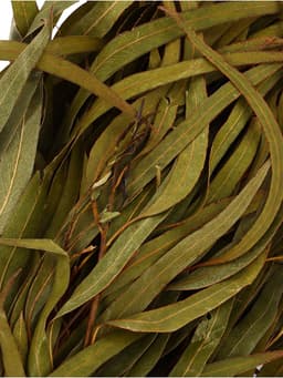 Веник для бани, эвкалиптовый, в еврослоте, «Добропаровъ»