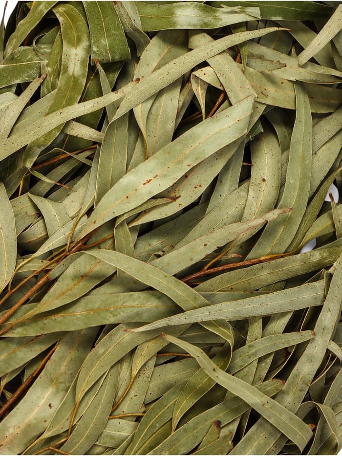 Веник для бани, эвкалиптовый, в пакете, «Добропаровъ»