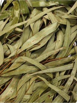 Веник для бани, эвкалиптовый, в пакете, «Добропаровъ»