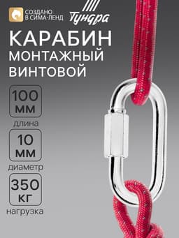 Карабин винтовой ТУНДРА krep, М10, оцинкованный, 1 шт.