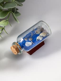 Фигурка «Сувенир в бутылке. Ракушки», 6×2.5×3.5 см, МИКС