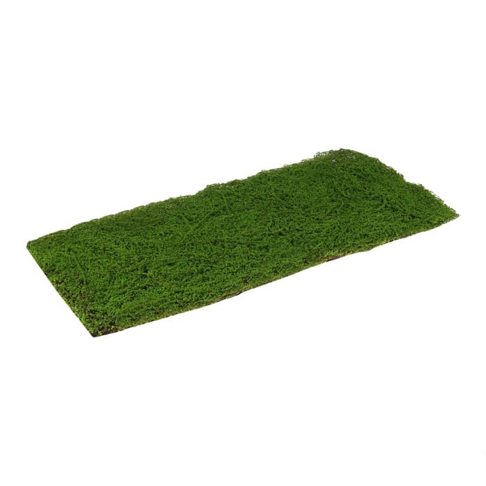 Декоративная панель, 90×40 см, «Мох», Greengo