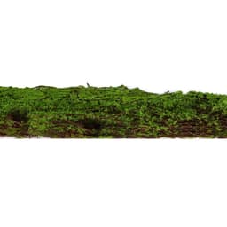 Декоративная панель, 90×40 см, «Мох», Greengo