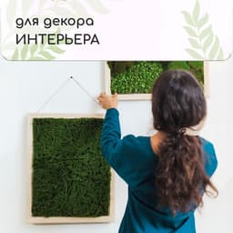 Декоративная панель, 90×40 см, «Мох», Greengo