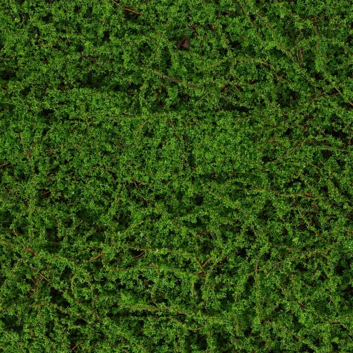 Декоративная панель, 90×40 см, «Мох», Greengo