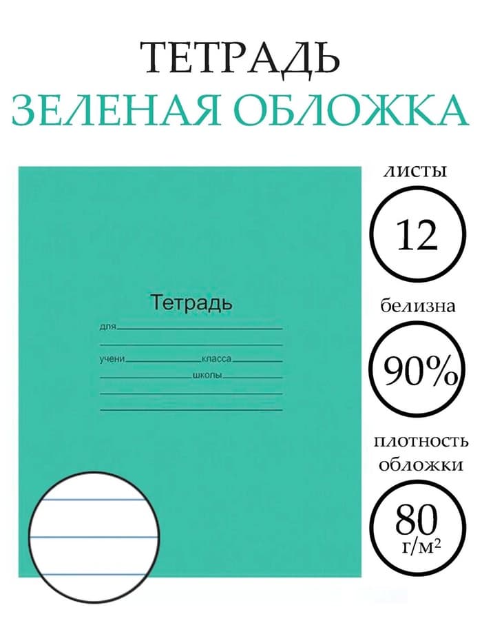 Тетрадь 12 листов в линейку «Зелёная обложка», плотность 60 г/м²