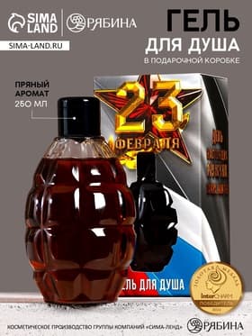 Гель для душа мужской «С 23 Февраля», 250 мл, пряный аромат, HARD LINE