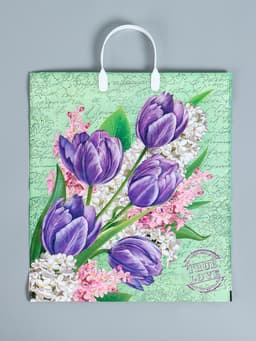 Пакет «Беатрис», полиэтиленовый с пластиковой ручкой, 100 мкм 40×44 см