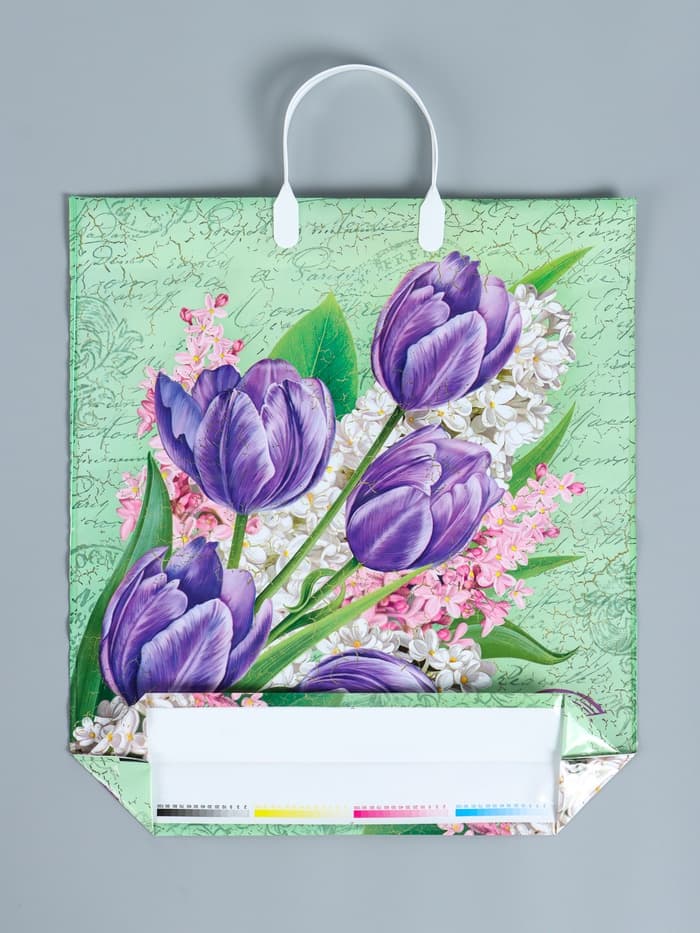 Пакет «Беатрис», полиэтиленовый с пластиковой ручкой, 100 мкм 40×44 см