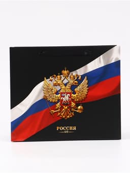 Пакет подарочный, упаковка, «Россия», 32 х 26 х 12 см
