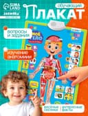 Обучающий плакат «Изучаем анатомию: Моё тело»