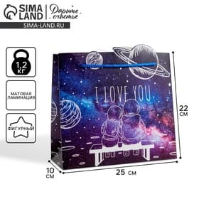 Пакет подарочный, упаковка, «I love you», 25×26×10 см