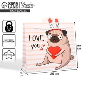 Пакет подарочный, упаковка, Love you, 25 × 22 × 10 см