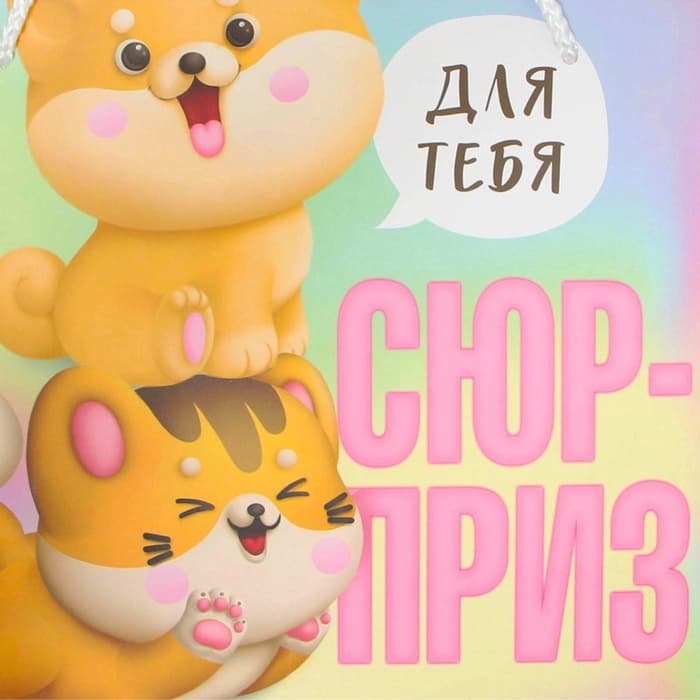 Пакет подарочный, упаковка, «Сюрприз», 25×26×10 см