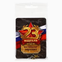 Магнит с подвеской на 23 февраля «Настоящему защитнику», 6×8 см