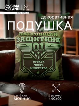 Подушка декоративная «Этель. Настоящий защитник», 40×40 см, велюр