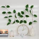 Лиана искусственная «Калатея полосатая», 230 см