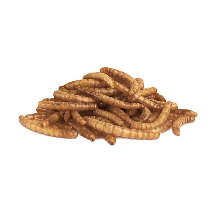 Лакомство Little One «Мучной червь» для всеядных грызунов, 70 г