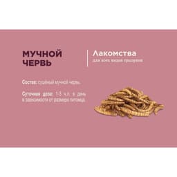 Лакомство Little One «Мучной червь» для всеядных грызунов, 70 г