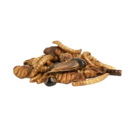 Лакомство Little One «Смесь насекомых» для всеядных грызунов, 75 г