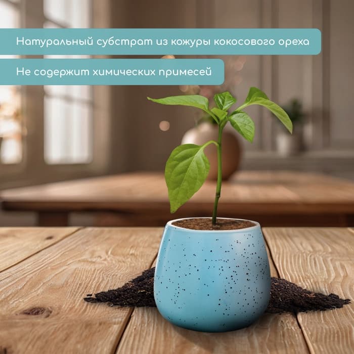 Таблетки кокосовые, для рассады, d=4 см, без оболочки, набор 10 шт., Greengo