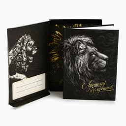 Ежедневник А5, 80 листов, недатированный, в подарочной коробке «Лучшему из лучших»