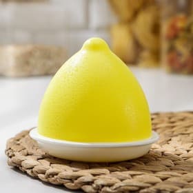 Контейнер для лимона Альтернатива, пластик, жёлтый