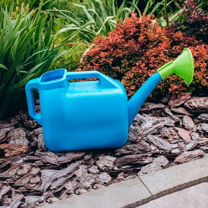 Лейка, 10 л, с рассеивателем, носик d=25 мм, цвет МИКС