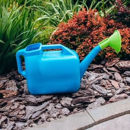 Лейка, 10 л, с рассеивателем, носик d=25 мм, цвет МИКС