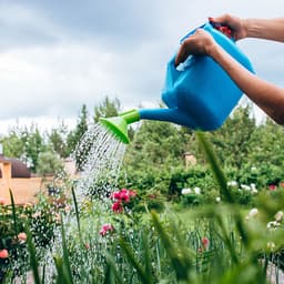 Лейка, 10 л, с рассеивателем, носик d=25 мм, цвет МИКС