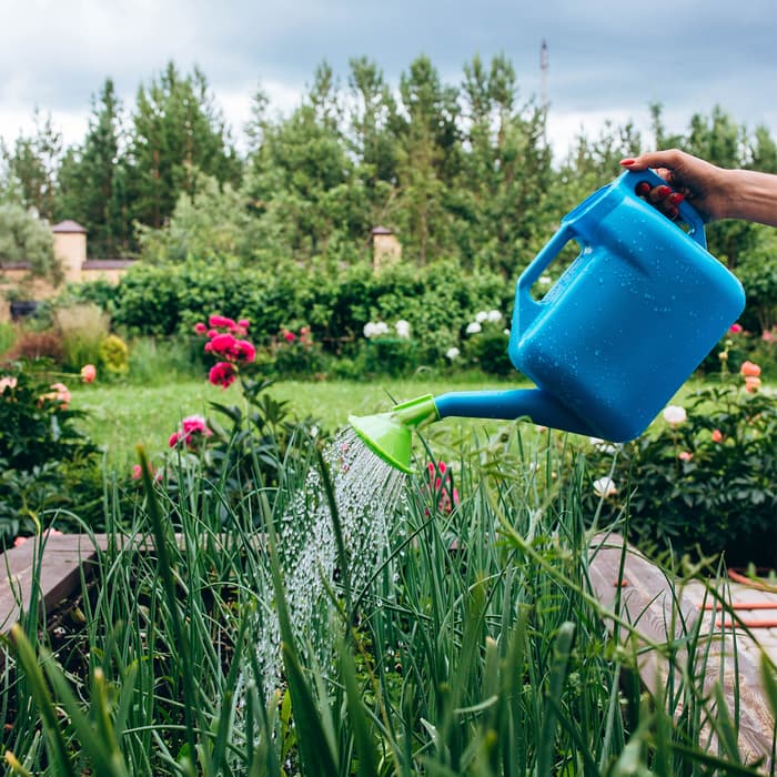 Лейка, 10 л, с рассеивателем, носик d=25 мм, цвет МИКС