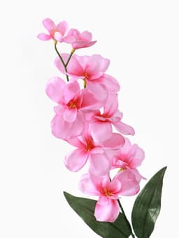 Цветы искусственные «Орхидея амезиелла», h=65 см, розовые