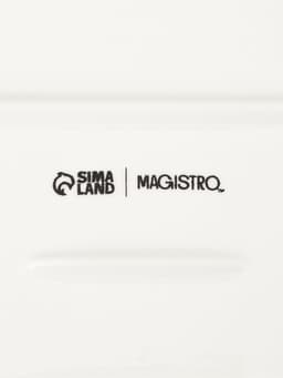 Блюдо для запекания прямоугольное Magistro «Бланш», 30×19 см, фарфор, белое