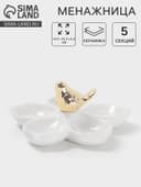 Менажница 5 ячеек Magistro «Голубка», 15.5×6.5, керамика, белая с золотом